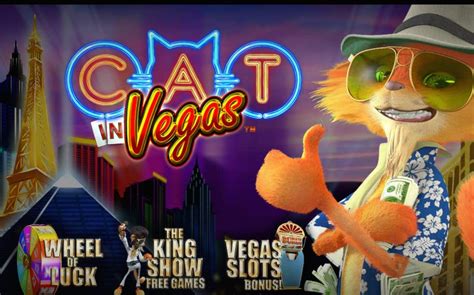 Cat In Vegas Bwin